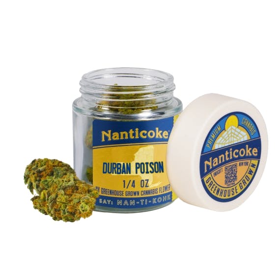 Nanticoke- Flower Jar- Durban Poison