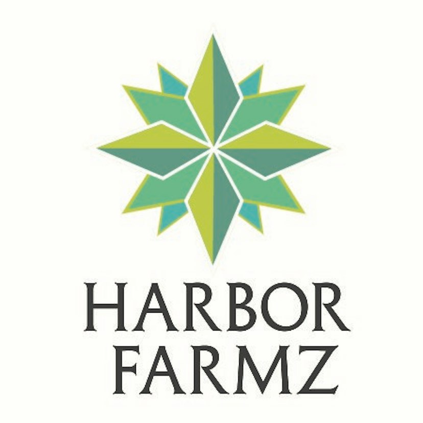 Harbor Farmz Temple Ball | Willie's Kush Cake