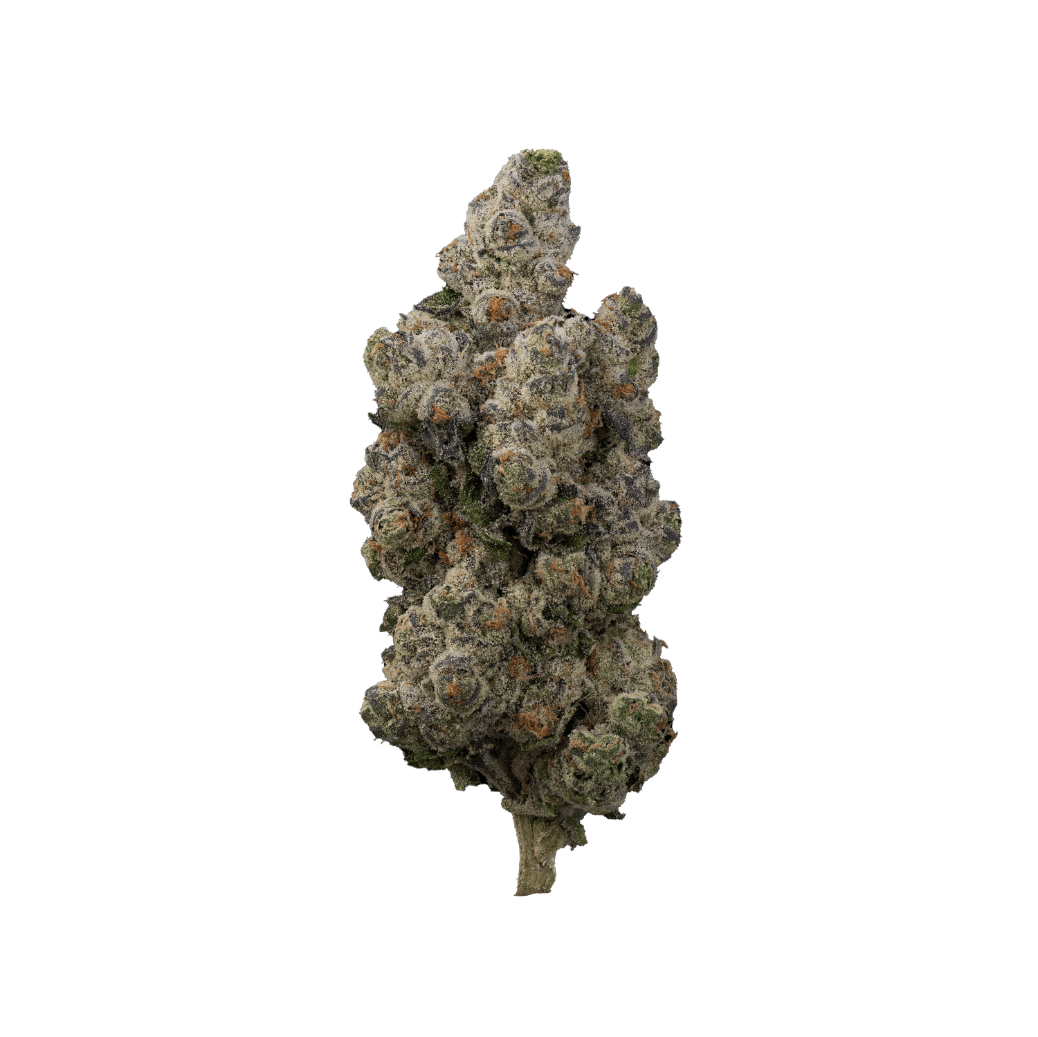 Product: Omnino | Bulk Bud - Lilac Diesel