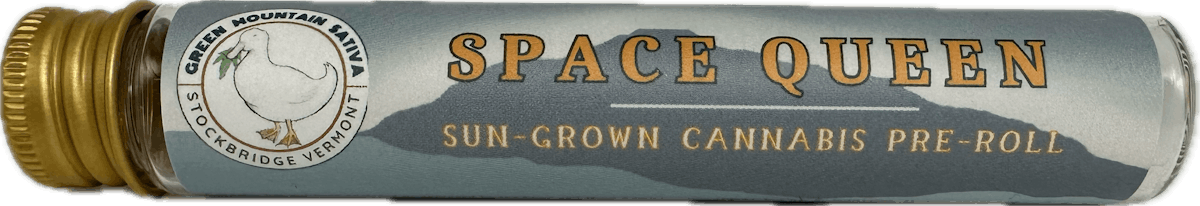 Image of Space Queen | 1g Preroll