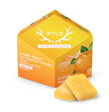 WYLD - 100mg Gummies - Sour Tangerine