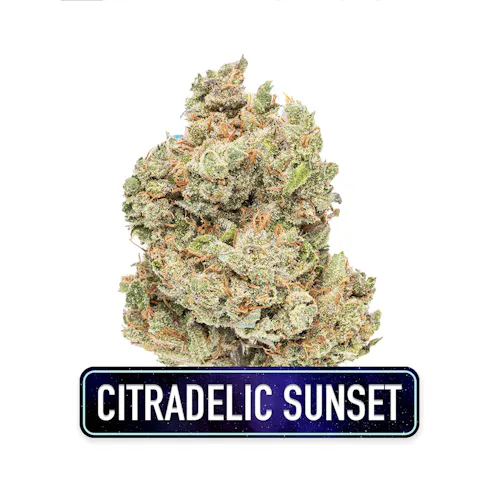 Anthologie | Flower | Citradelic Sunset | 3.5g-1
