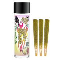 Banana Cream Pie Tarantula 3-Pack | 3g - product image at King of Budz