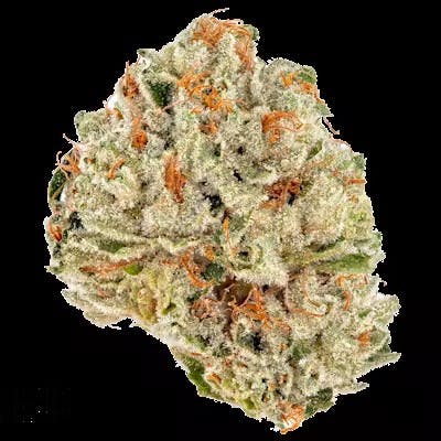 BHL ENTERPRISES BHL ENTERPRISES | GHOST RIDER | BULK | INDICA — FLOWER