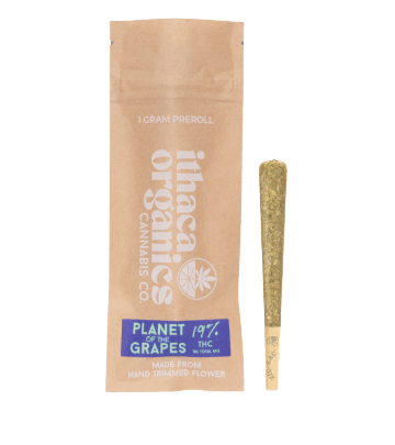 Planet Of The Grapes | Single