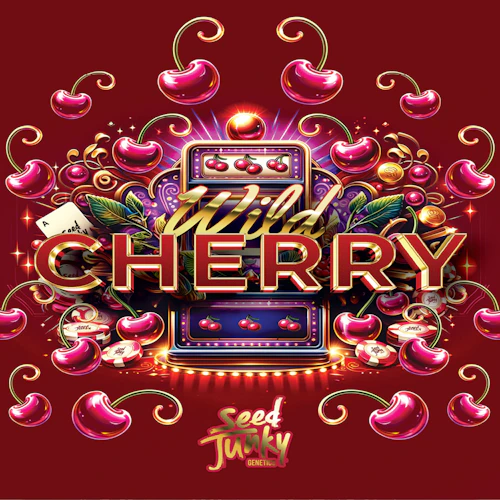 DELI - Seed Junky - Wild Cherry