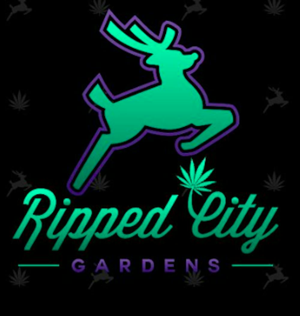 Product Ripped City | Happy