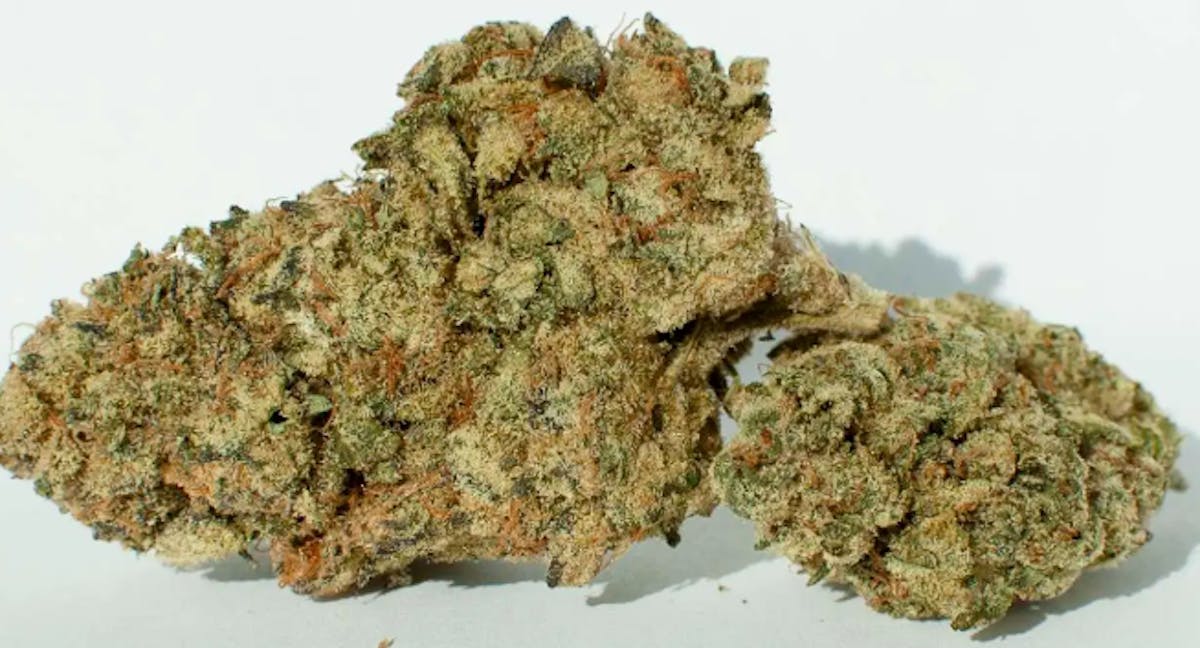 Photo of Platinum Shelf – Sherbski (H)