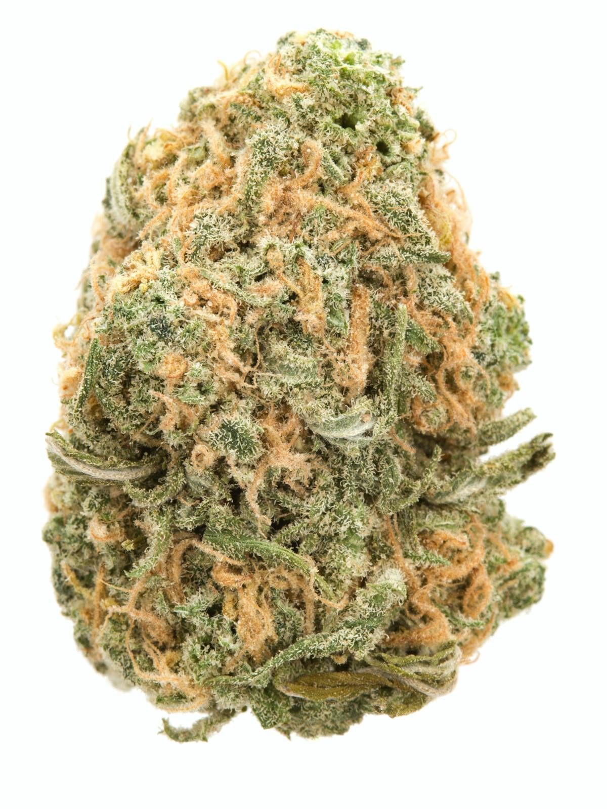 Photo of Silver Shelf – Unicorn Poop (H)