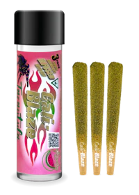 Watermelon Tarantula 3-pack | 3g - product image at King of Budz