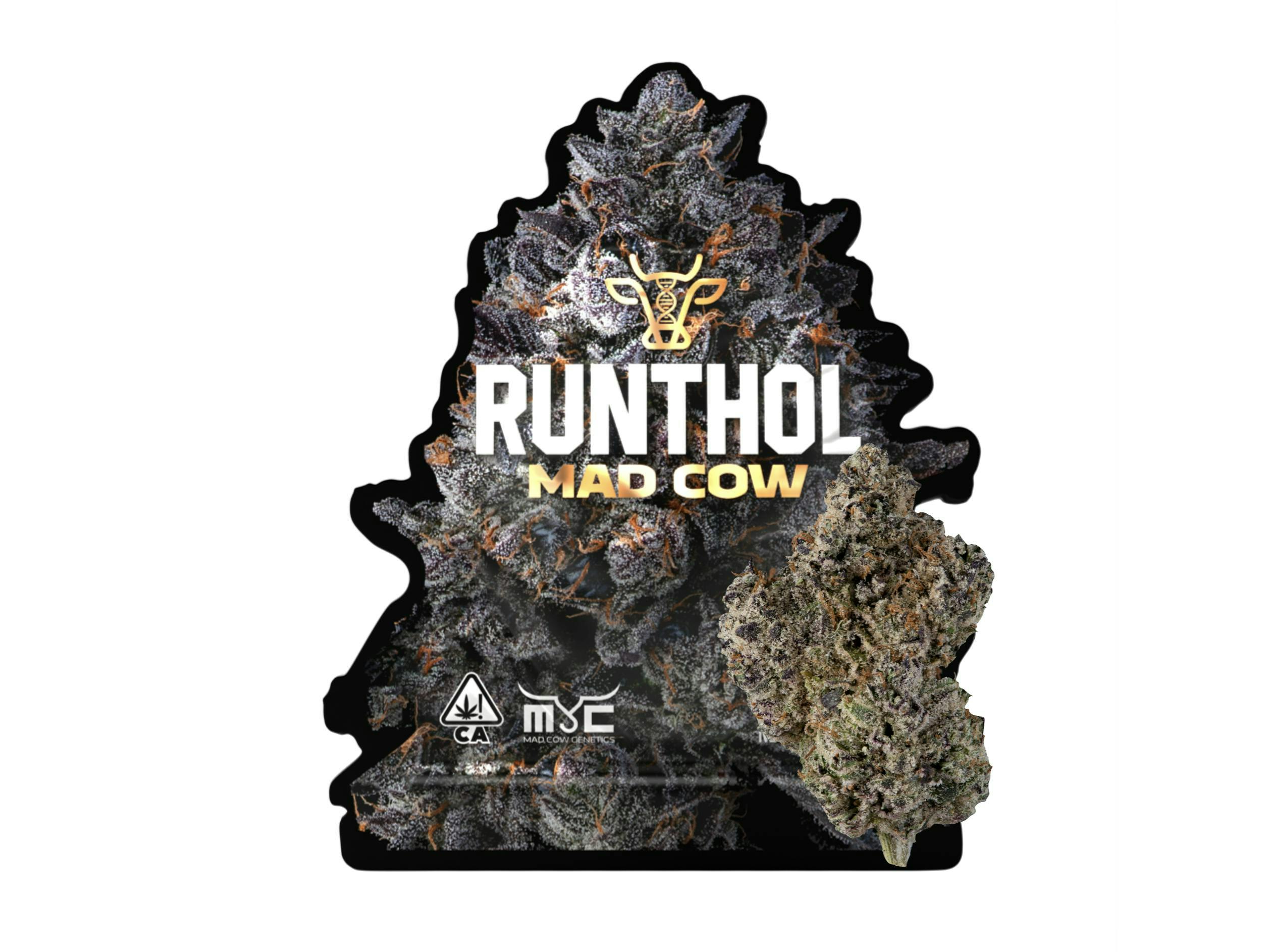 Mad Cow Runthol Indoor Lemonnade Union City