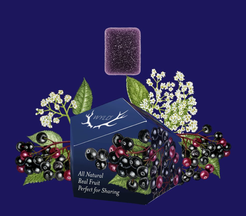 Elderberry (2:1) (I) - 100mg