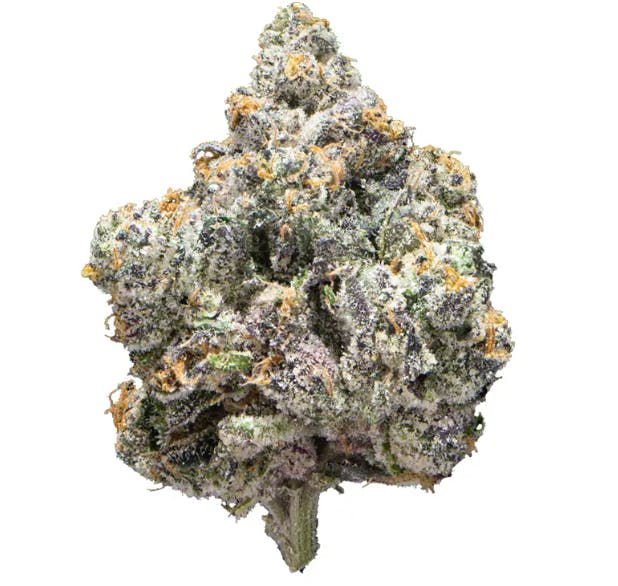Flower | Platinum Reserve | Jar | Runtz Sherbert | 3.5g