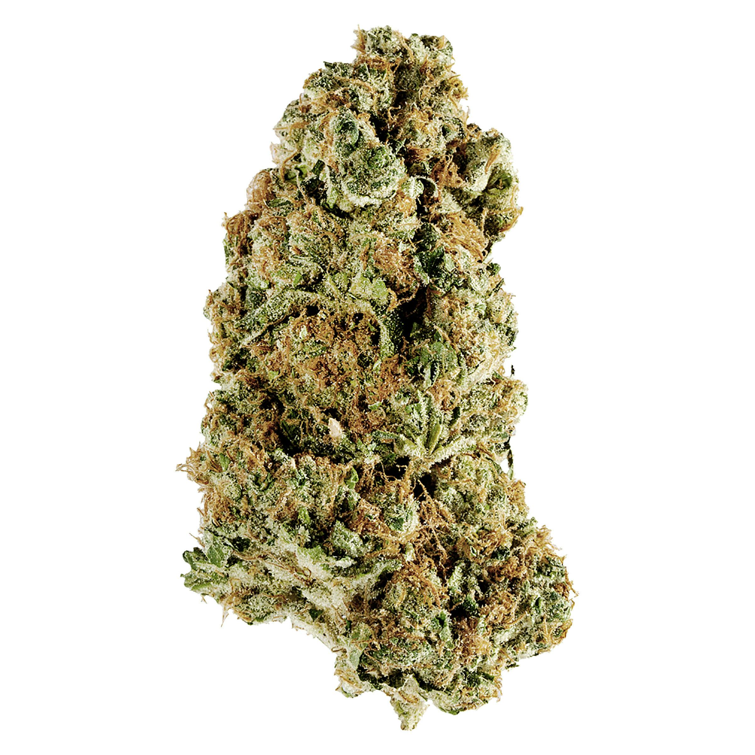 Redecan	- animal rntz