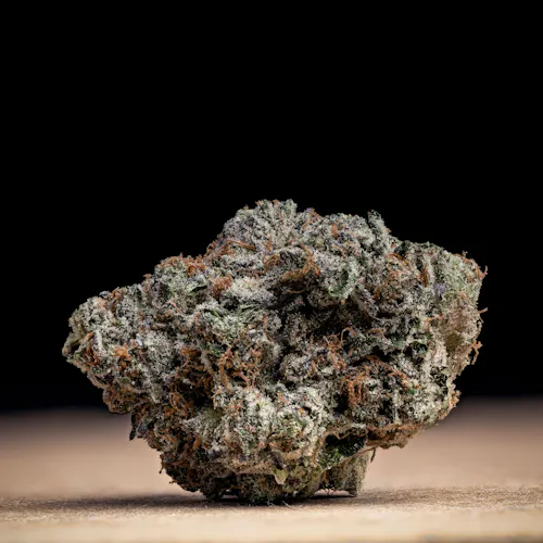 Gelato Cake (House Pack)-5