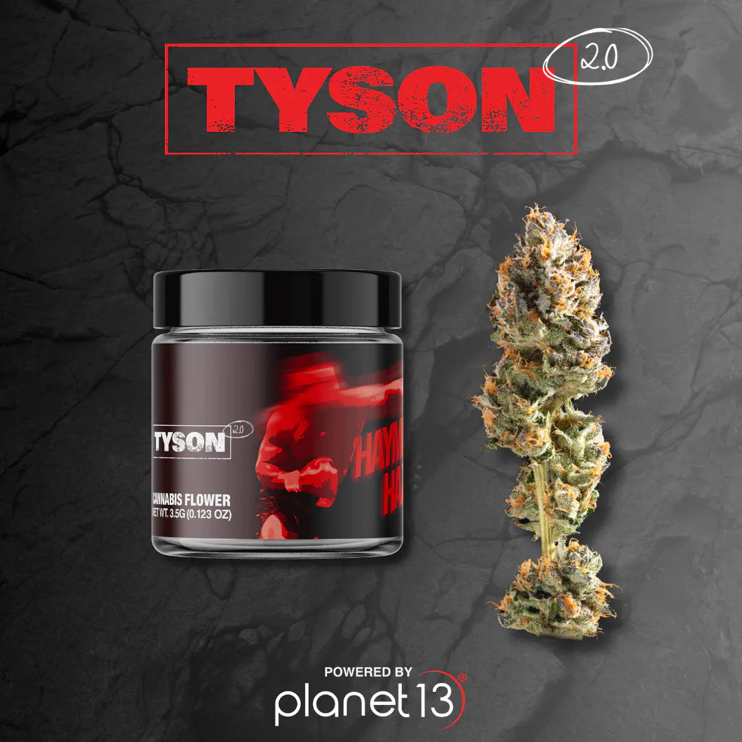 Tyson 2.0 Haymaker Haze 3.5g Prepack | Planet 13 Las Vegas