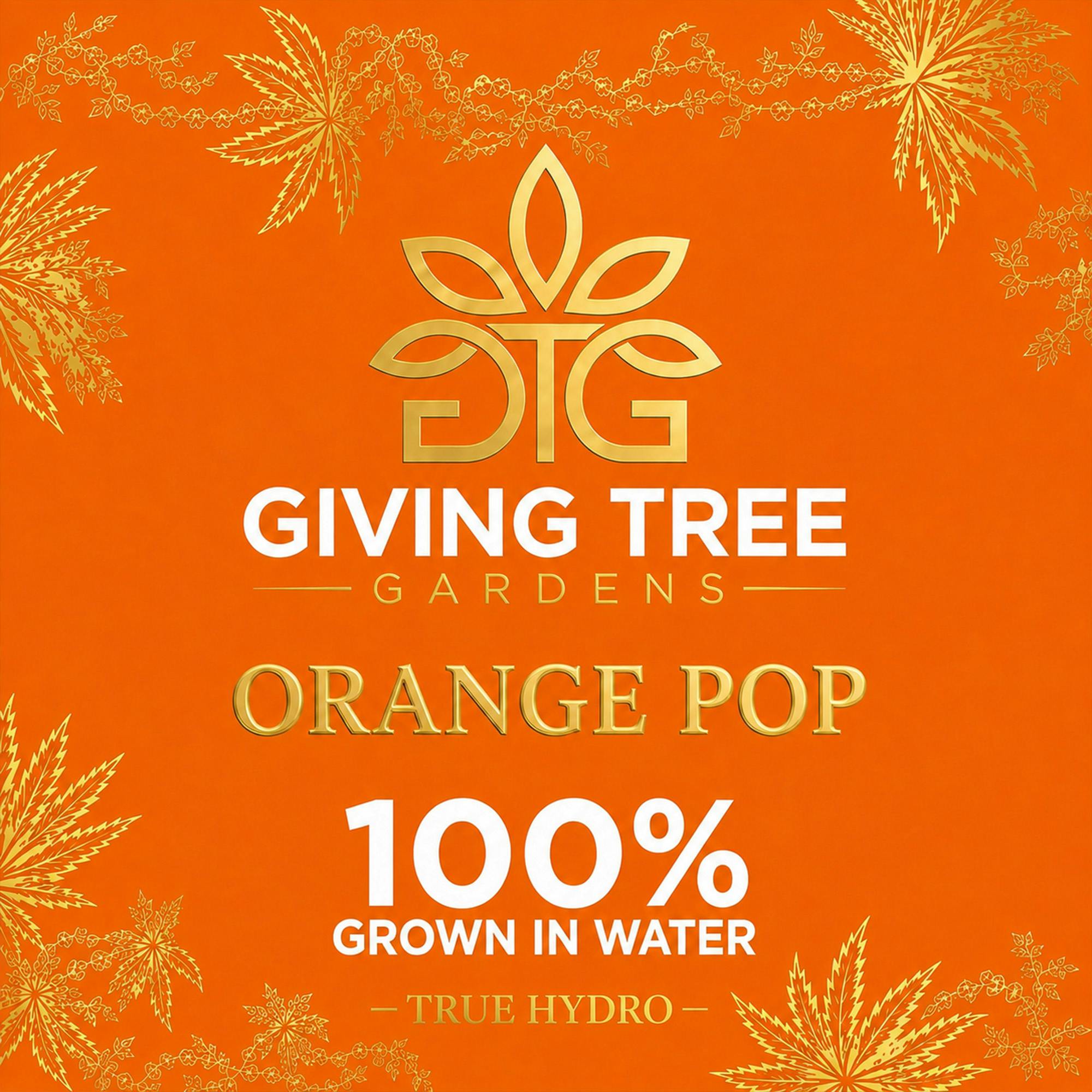 DELI - Giving Tree - Orange Pop