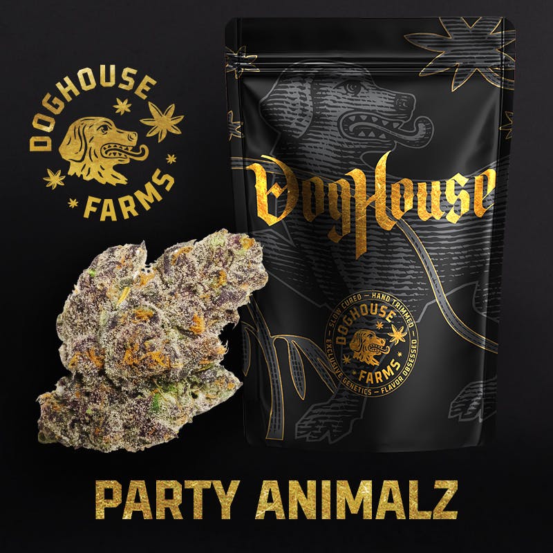 Product Image Alt