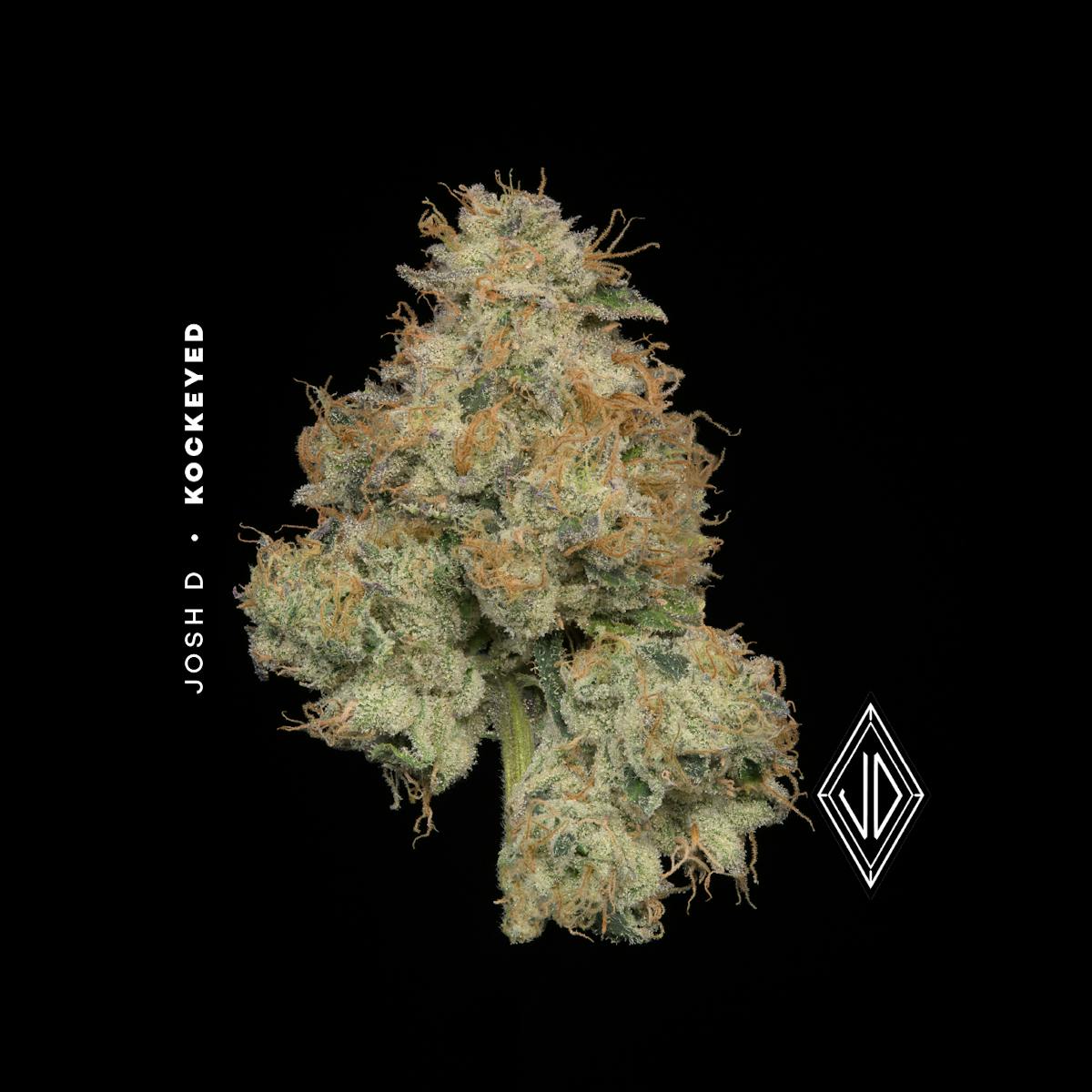 Photo of | Josh D Kockeyed |