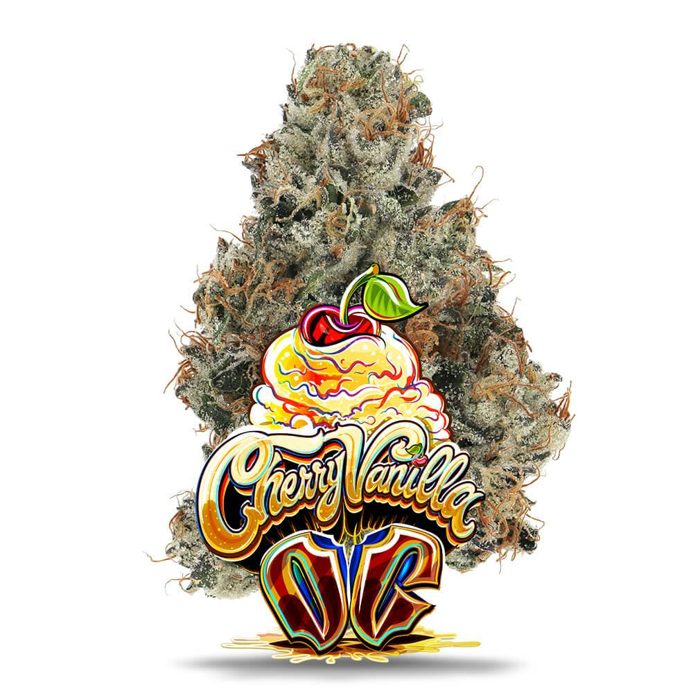 Cherry Vanilla OG - Premium