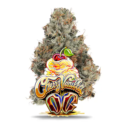 Cherry Vanilla OG - Premium, as Jungle Boys's menu shows it
