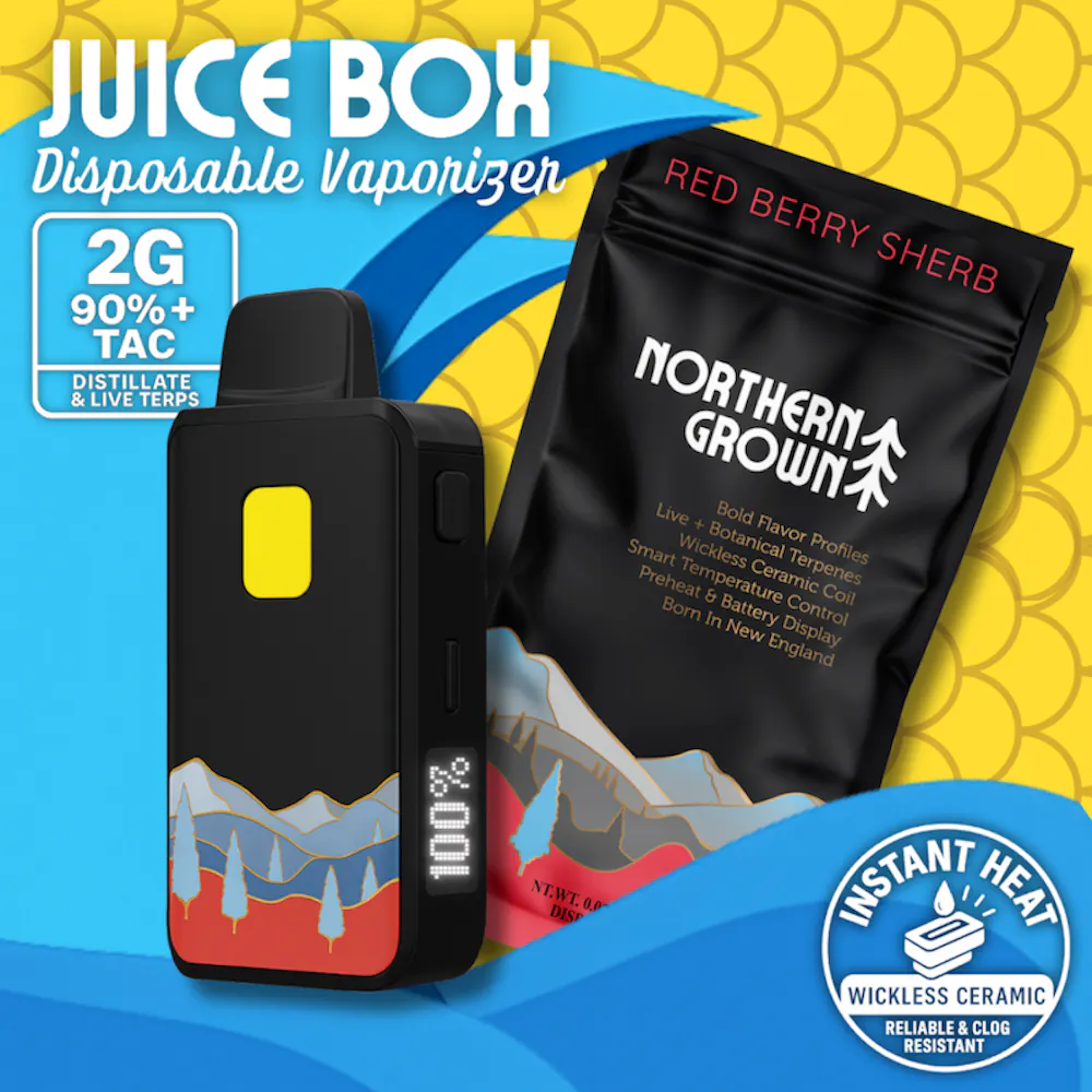 Product Northern Grown - Red Berry Sherb Juice Box Disposable Vape (2g)