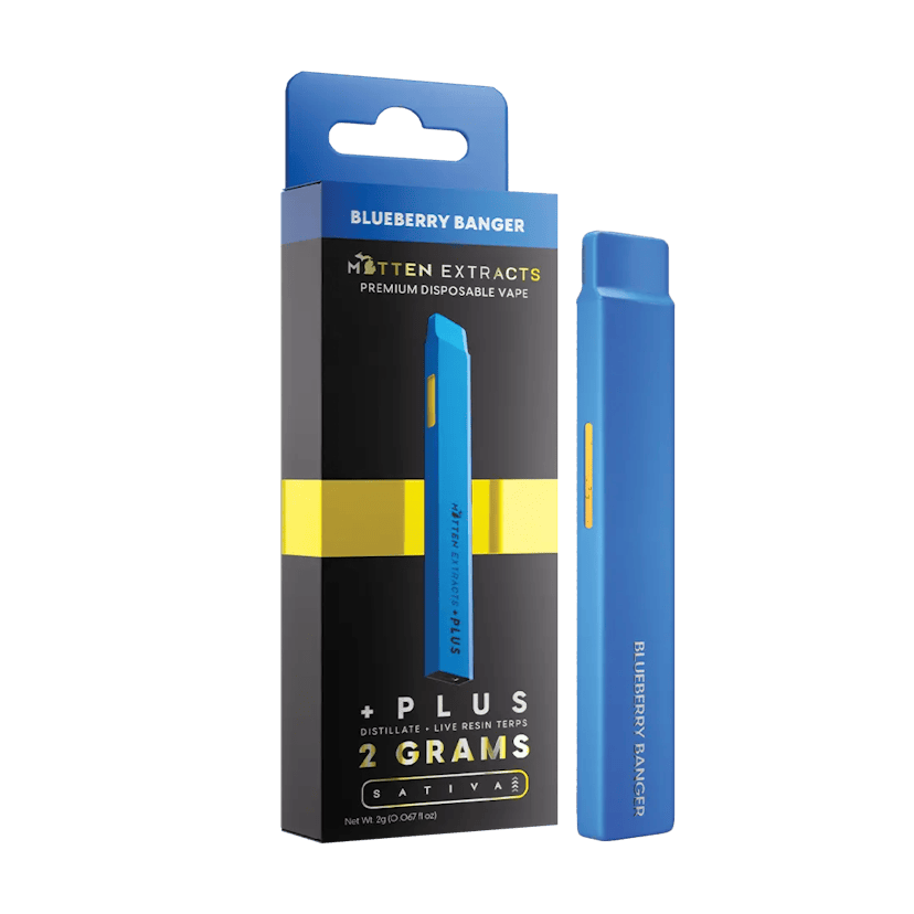 Blueberry Banger +Plus Disposable Vape 2g