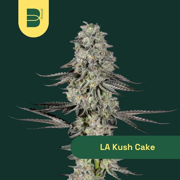 LA Kush Cake (I) - 3.5g - The Botanist