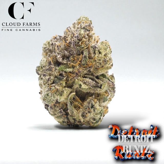 Cloud Farms | Pre-Pack - 3.5g - Detroit Runtz