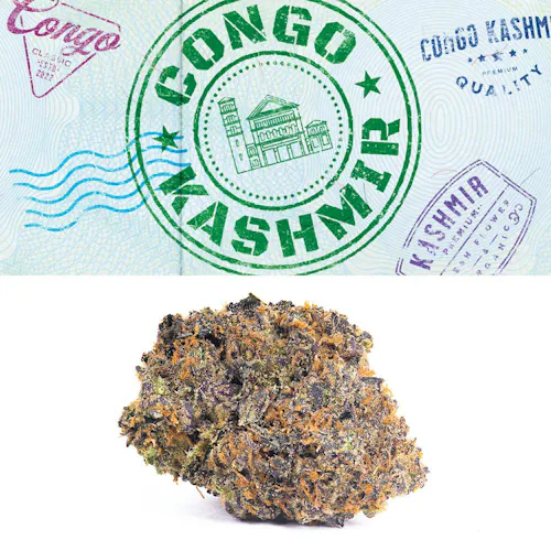 Cookies – Congo Kashmir – Indoor – Flower Tub-1