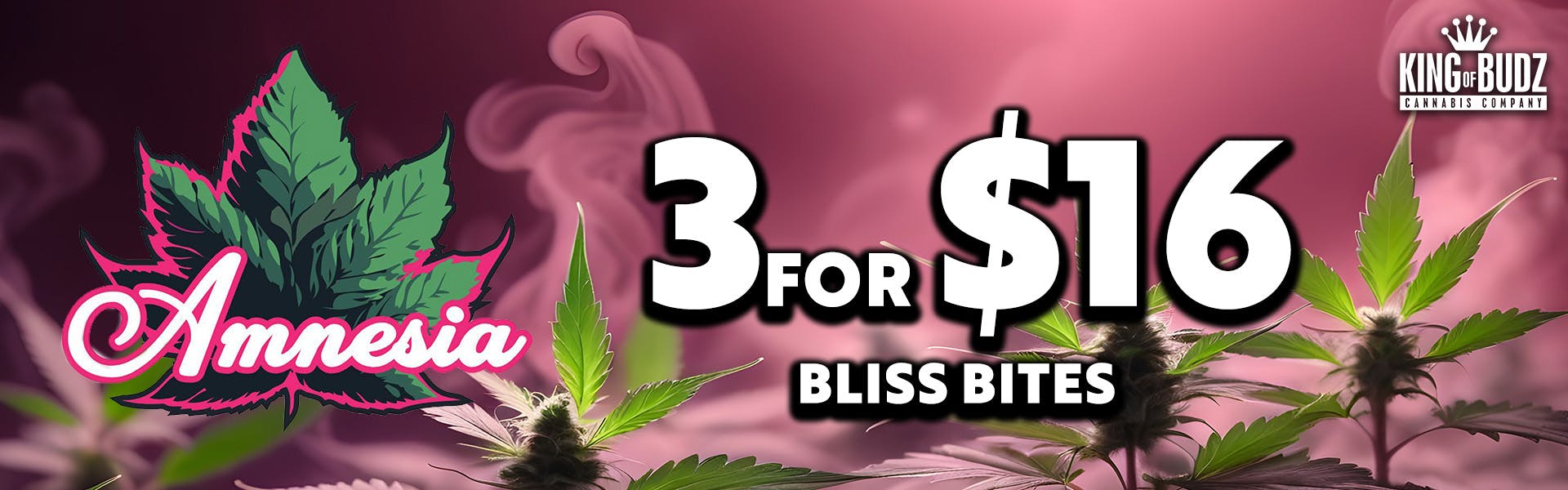 3 FOR $16 AMNESIA CHOCOLATE BITES