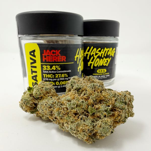 Flower | Hashtag Honey | Jack Herer | 3.5g