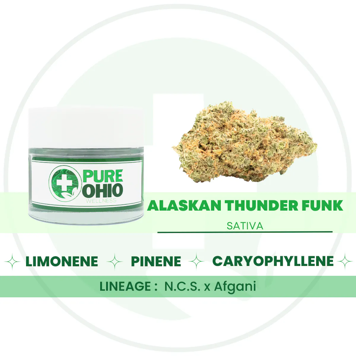 Alaskan Thunder Funk 2.83g Flower | Pure Ohio Wellness |