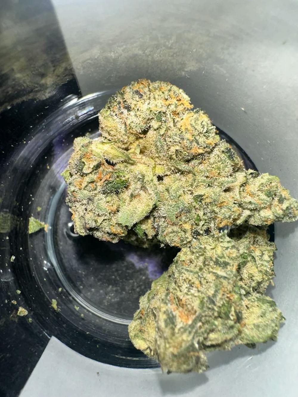 Product CAM - Guava Gelato OG - - Flower