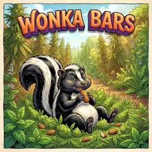 DELI - Wonka Bars