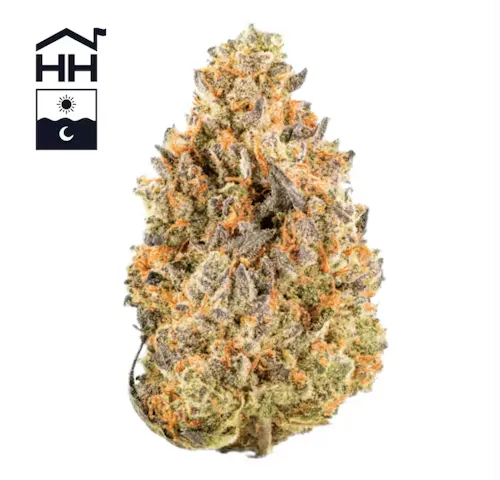 Strain of the Month: Gorilla Glue - Pure Oasis