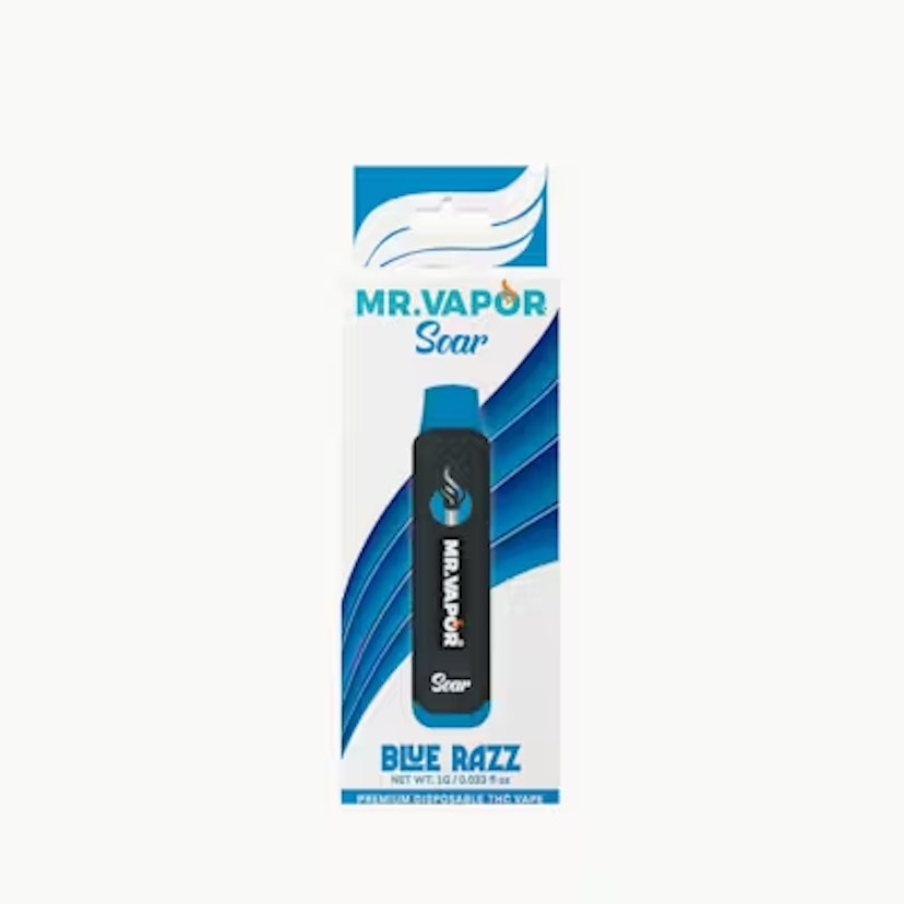 Mr. Vapor Disposable | Blue Razz