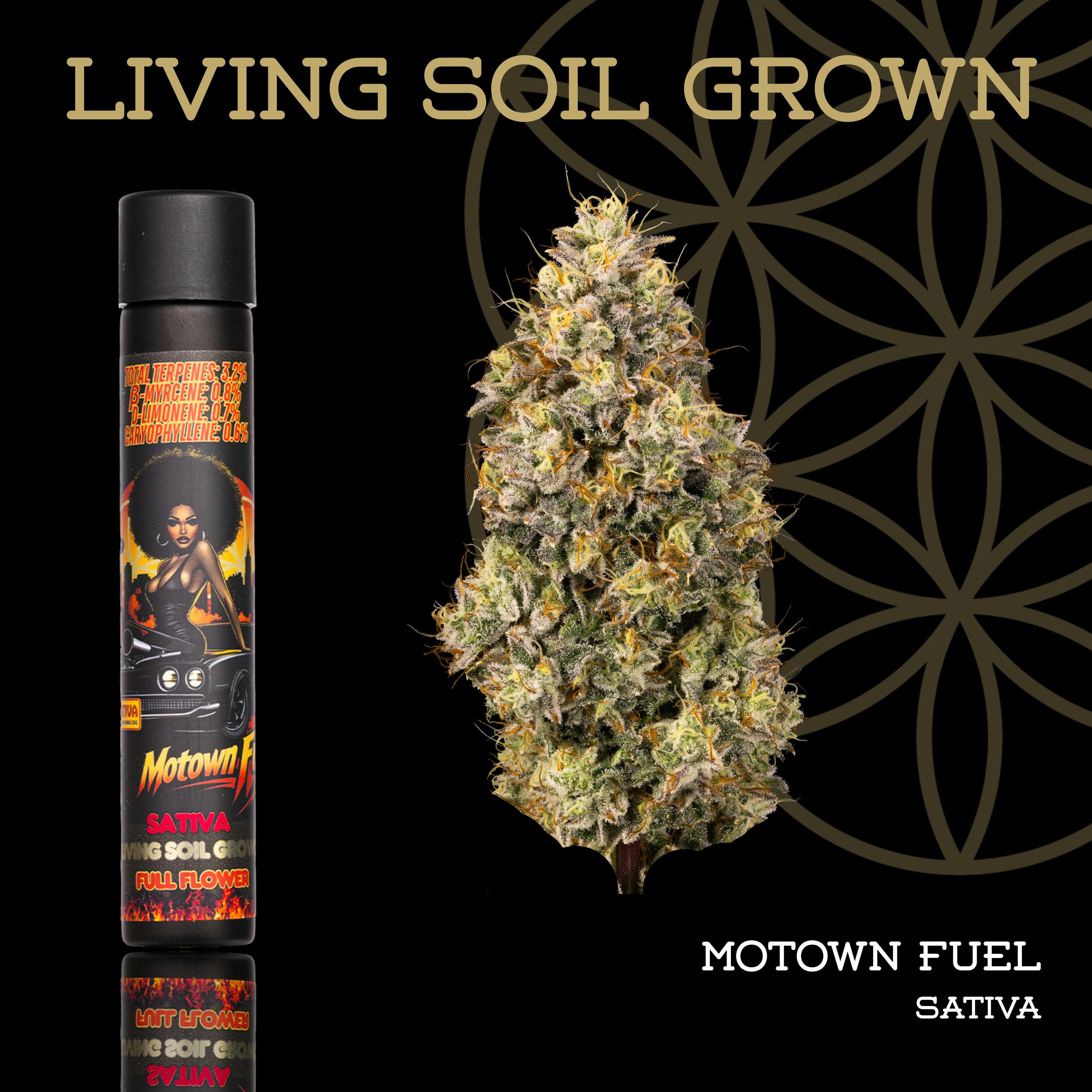 Product: Flower of Life | Living Soil | Motown Fuel | Pre-Roll | 1g
