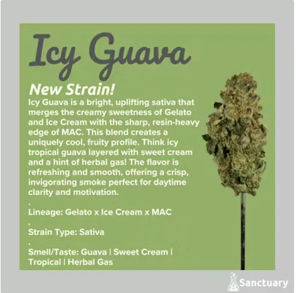 Icy Guava (S) | 28g | Flower | 28%