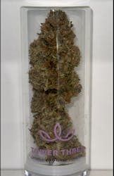 Raspberry Mango TK- Buds 7g