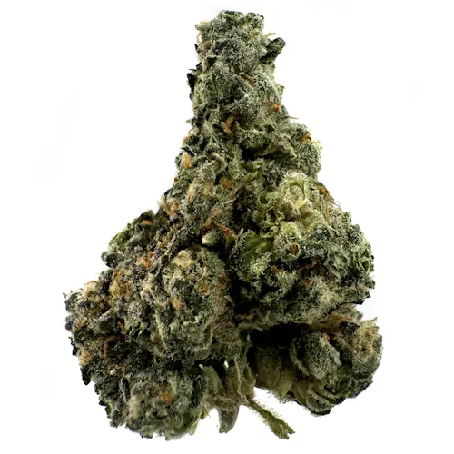 Glorious GMO Sherb Crasher Rec-active