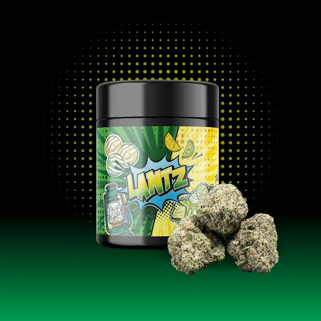 Hytek - 14g Prepack Jar - Lantz