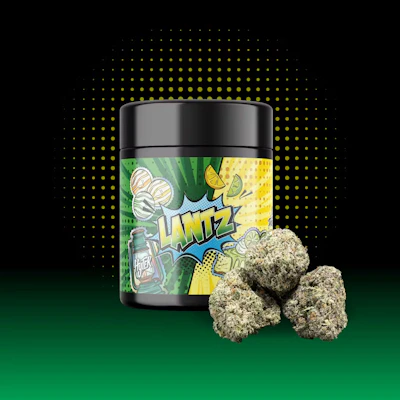Hytek - 14g Prepack Jar - Lantz