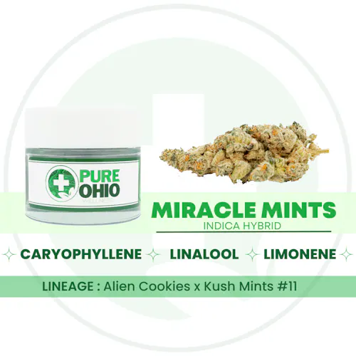 Pure Ohio | Miracle Mints (Buds) | 3.5g | Hybrid-active
