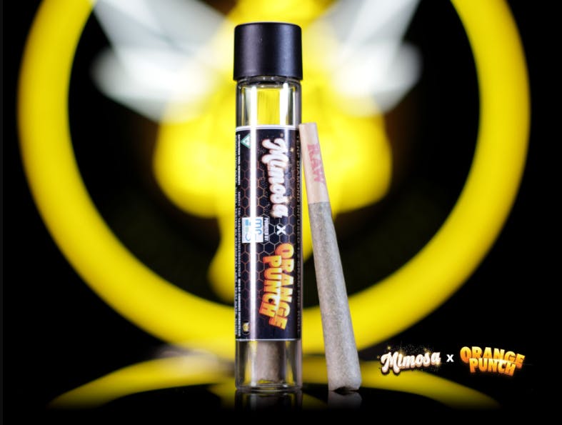 Product: Mimosa x Orange Punch | 1.2g | Infused | Cannabee Extracts