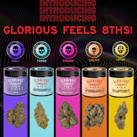 Glorious - 3.5g Prepack - Chili Runtz - product image at King of Budz