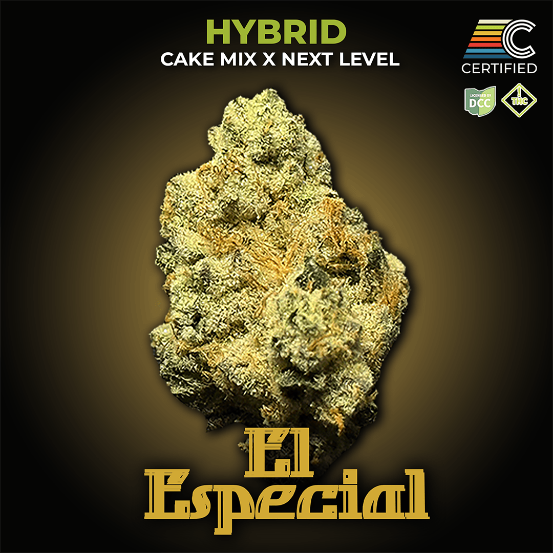 KOHAKUETC Nectar - Euclid