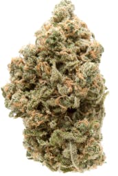 Product: Money Over Bitches | The Hempire Collective