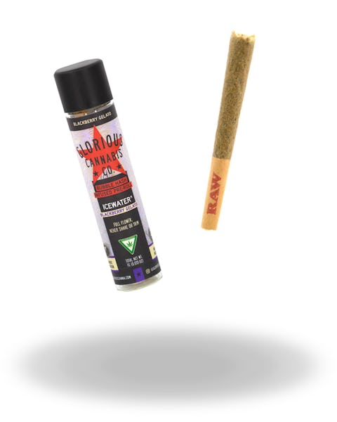 Product: Glorious Cannabis Co. | Blackberry Gelato Icewater Bubble Hash Infused Pre-Roll | 1g*