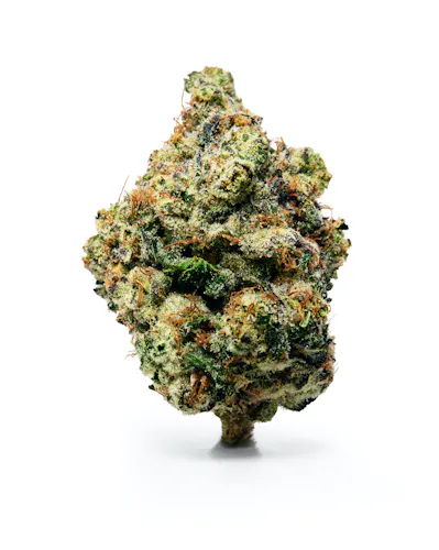 Dada | Sour Headband | Flower | Sativa-Hybrid-1